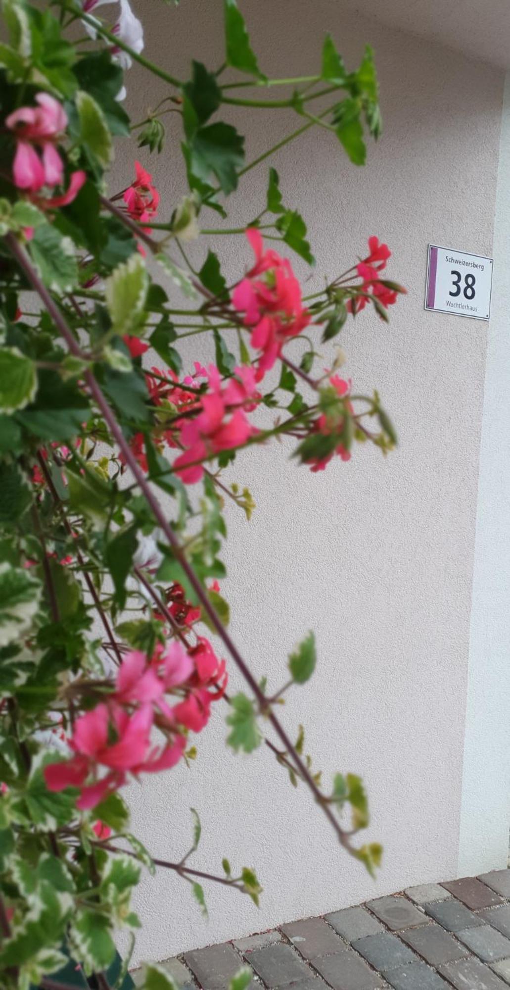Ferienwohnung Blick Ins Gruene Rossleithen 外观 照片