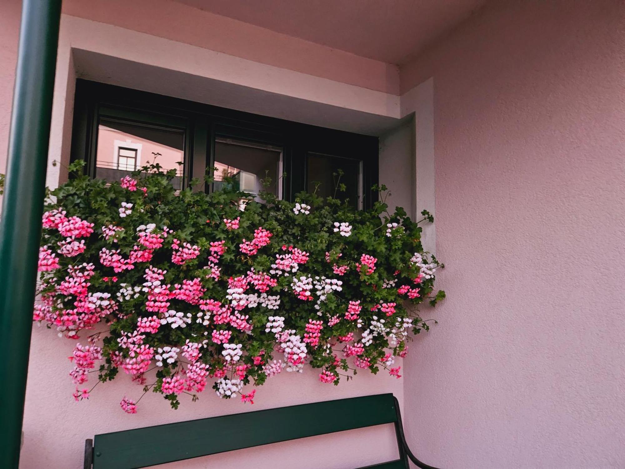 Ferienwohnung Blick Ins Gruene Rossleithen 外观 照片
