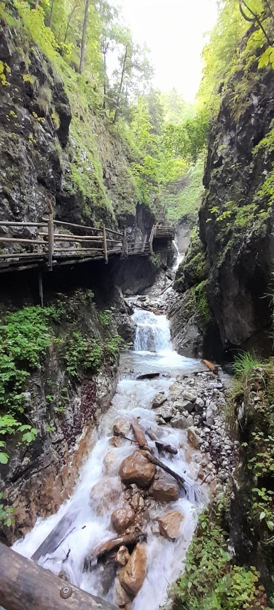 Ferienwohnung Blick Ins Gruene Rossleithen 外观 照片