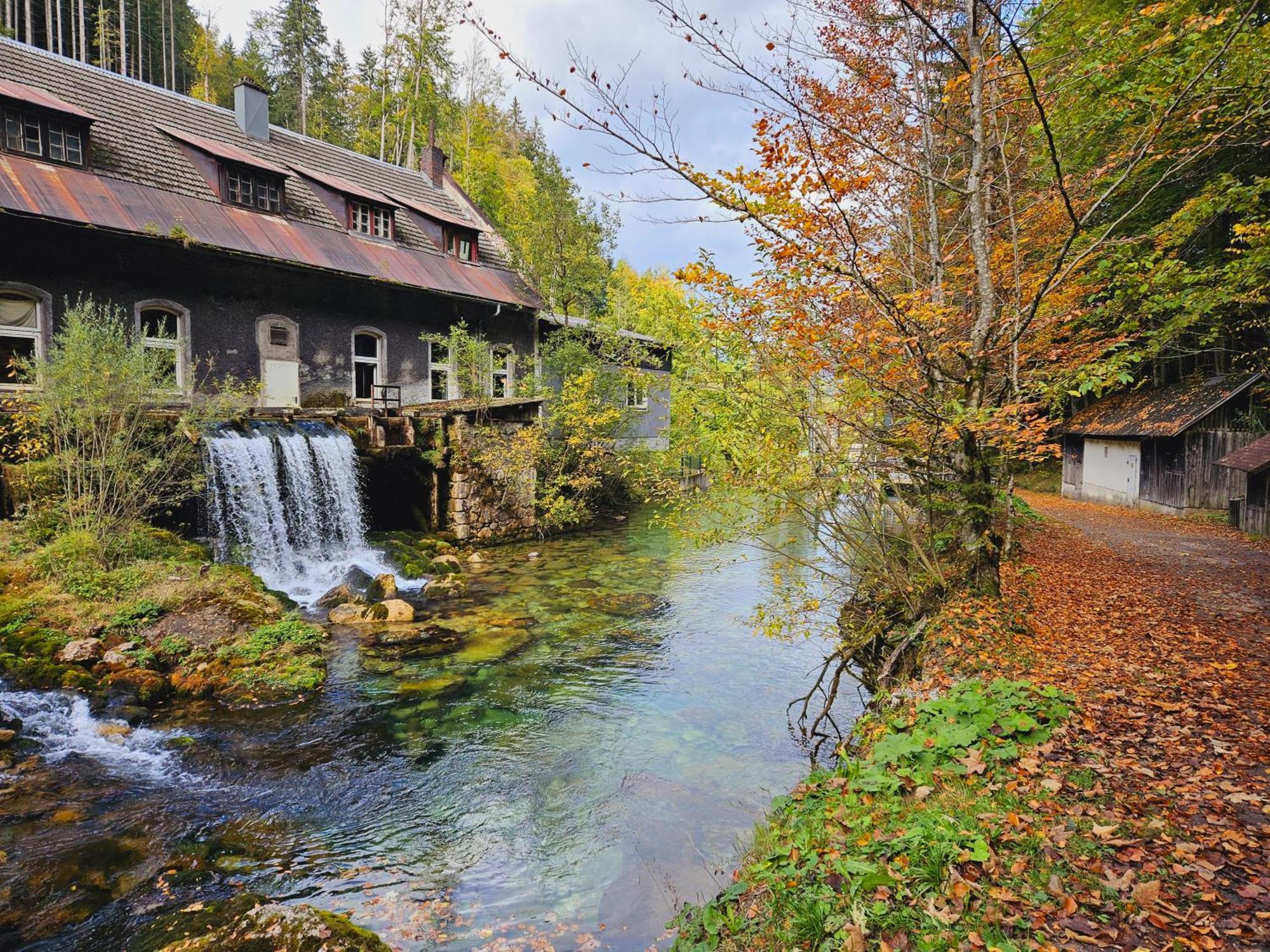Ferienwohnung Blick Ins Gruene Rossleithen 外观 照片